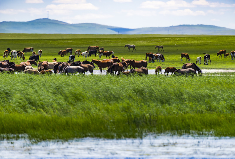 内蒙古，致敬领导与朋友们共襄盛举
