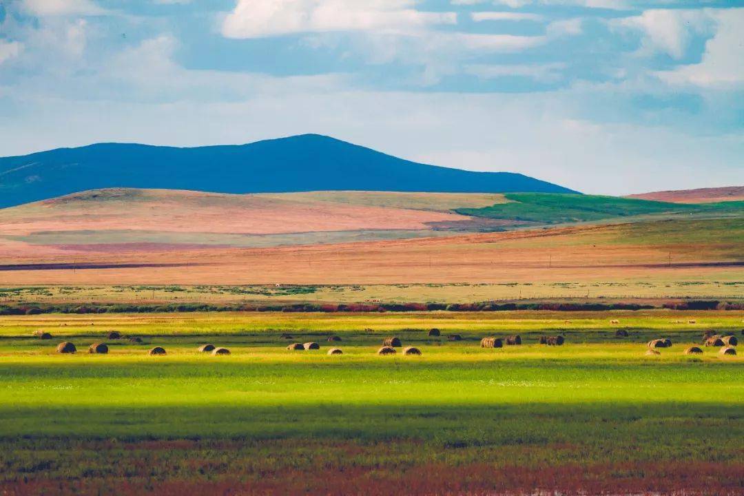 内蒙古,致敬领导与朋友们共襄盛举