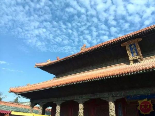 齐鲁大地,活力山东,探索这片生机盎然的土地