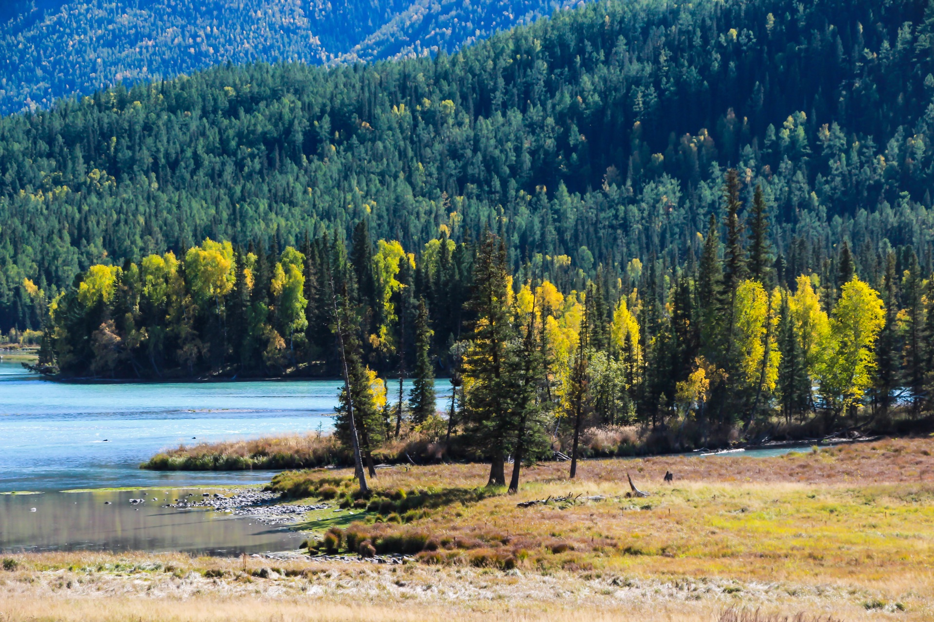 天山脚下,新疆播音稿,美丽画卷映眼前