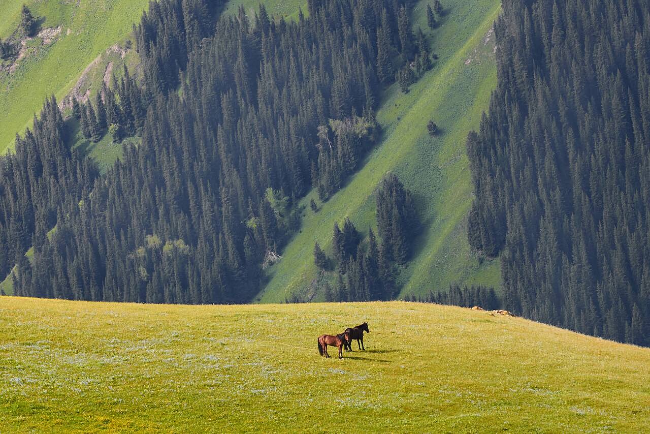 天山脚下,新疆播音稿,美丽画卷映眼前